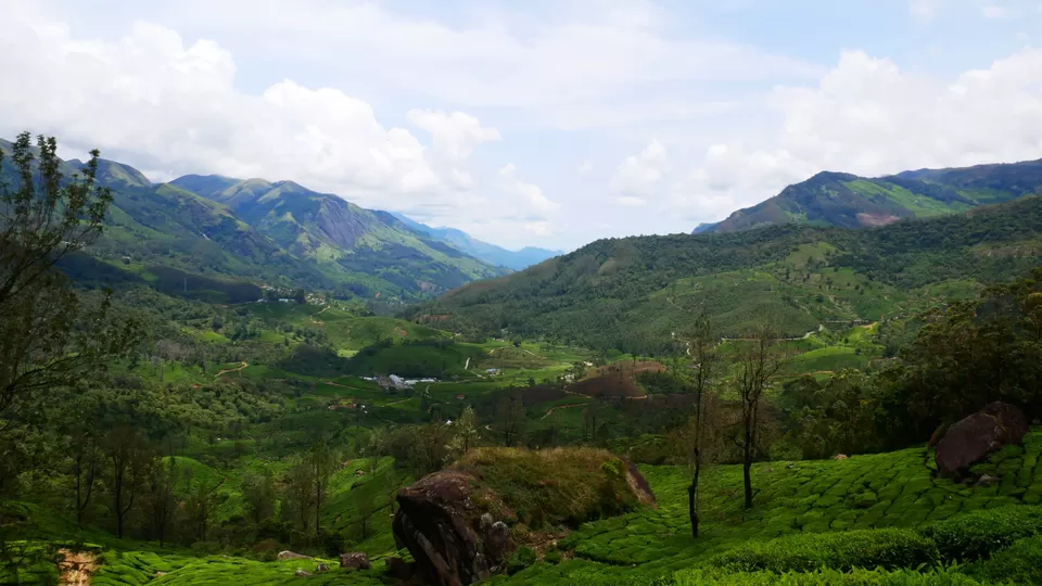 Photo of Munnar, Kerala, India by MUhammed Unais P (TheIndianTrails)