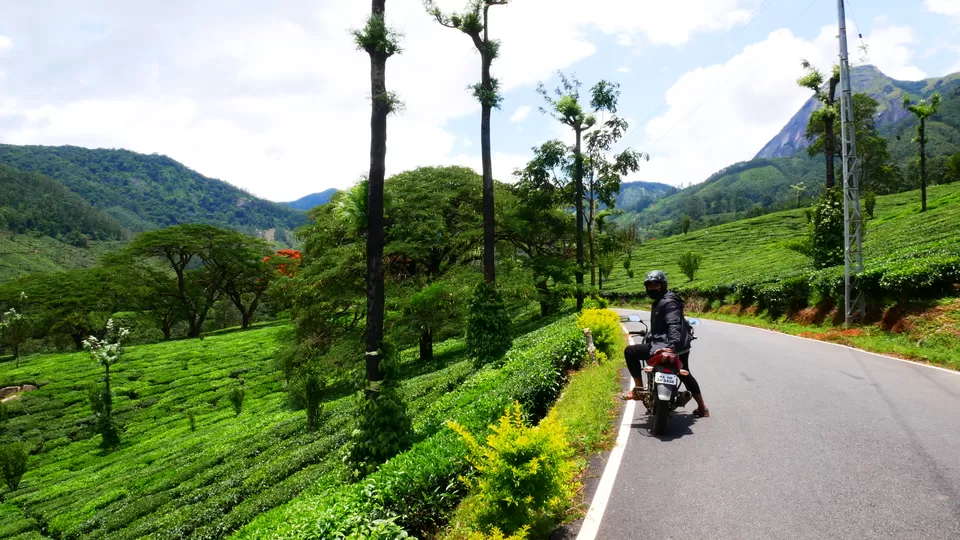 Photo of Munnar, Kerala, India by MUhammed Unais P (TheIndianTrails)