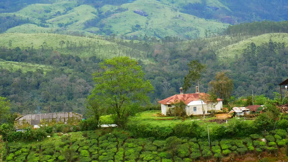 Photo of Idukki (or Munnar) Bike Ride Plan for 5 Days by MUhammed Unais P (TheIndianTrails)