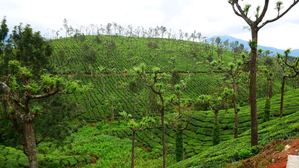 Photo of Idukki (or Munnar) Bike Ride Plan for 5 Days by MUhammed Unais P (TheIndianTrails)