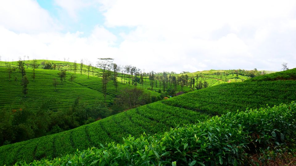 Photo of Idukki (or Munnar) Bike Ride Plan for 5 Days by MUhammed Unais P (TheIndianTrails)