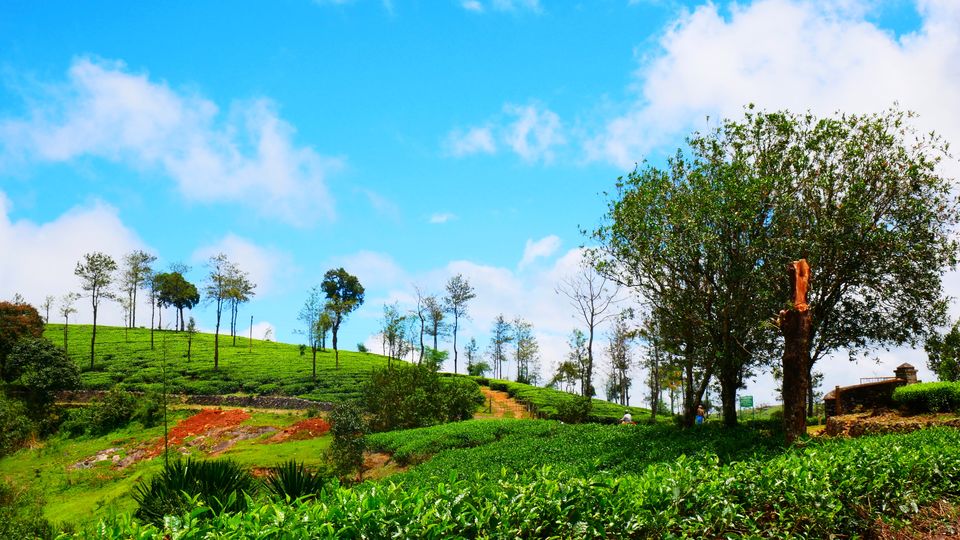 Photo of Idukki (or Munnar) Bike Ride Plan for 5 Days by MUhammed Unais P (TheIndianTrails)