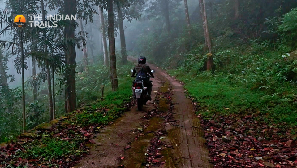 Photo of Wayanad, Kerala, India by MUhammed Unais P (TheIndianTrails)