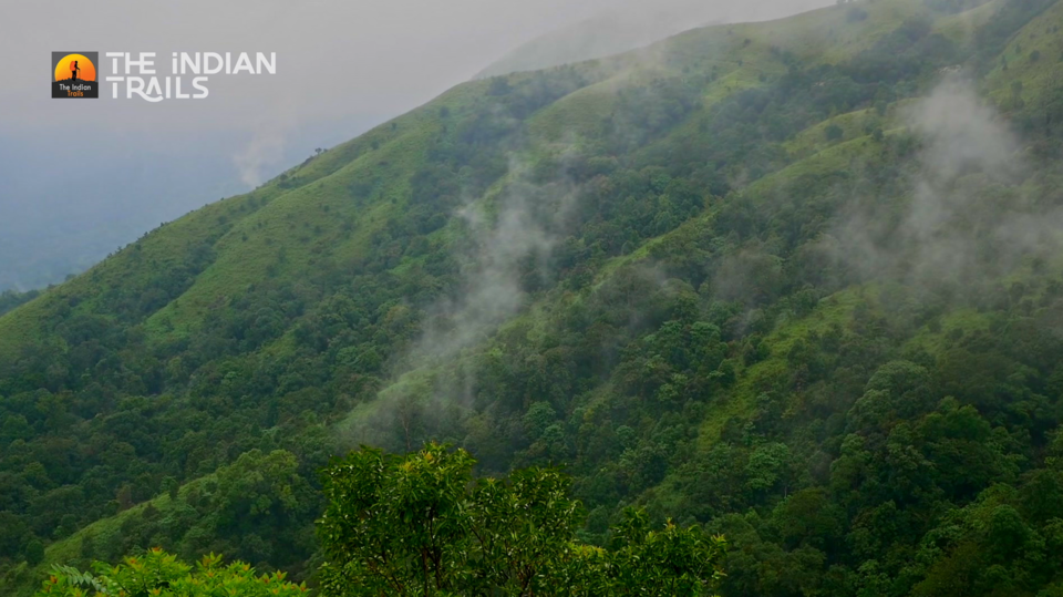 Photo of Wayanad Tourist Places Ep. 04 |Brahmagiri Forest Trekking 3/30 by MUhammed Unais P (TheIndianTrails)