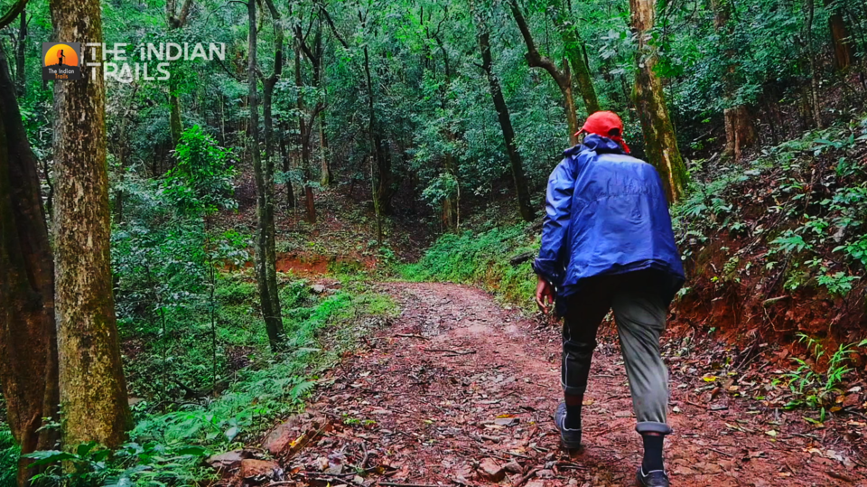 Wayanad Tourist Places Ep. 04 |Brahmagiri Forest Trekking - Tripoto