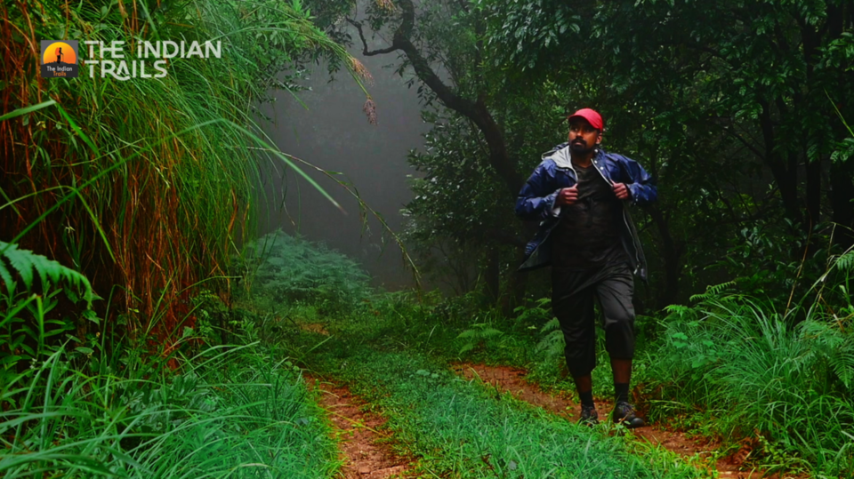 Photo of Wayanad Tourist Places Ep. 04 |Brahmagiri Forest Trekking by MUhammed Unais P (TheIndianTrails)