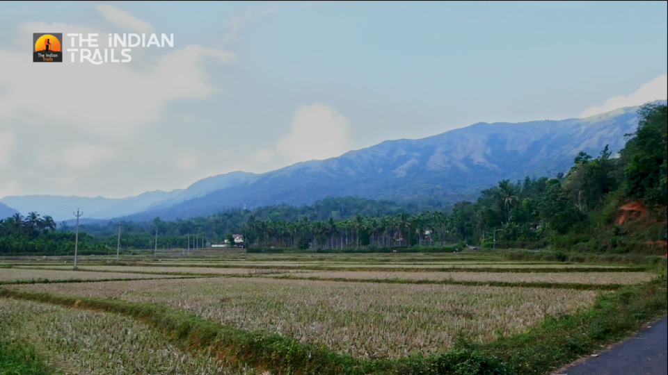 Photo of Bavali, Kerala, India by MUhammed Unais P (TheIndianTrails)