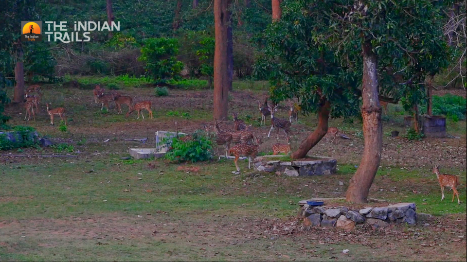 Photo of Bavali, Kerala, India by MUhammed Unais P (TheIndianTrails)