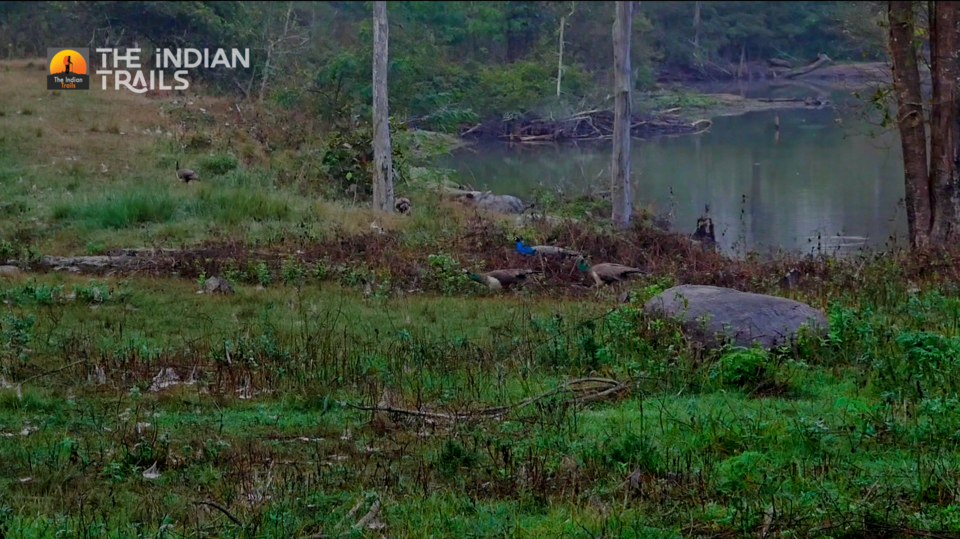 Photo of Bavali, Kerala, India by MUhammed Unais P (TheIndianTrails)