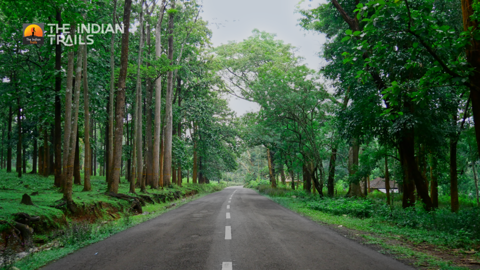 Photo of Bavali, Kerala, India by MUhammed Unais P (TheIndianTrails)