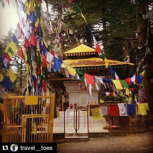 Photo of Weekend Getaways Near Delhi 1/2 by Traveltoesofficial