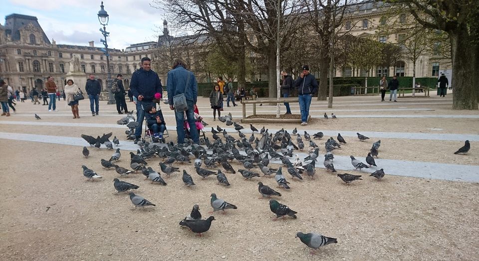 Photo of Paris, France by Aujasvi Moudgil