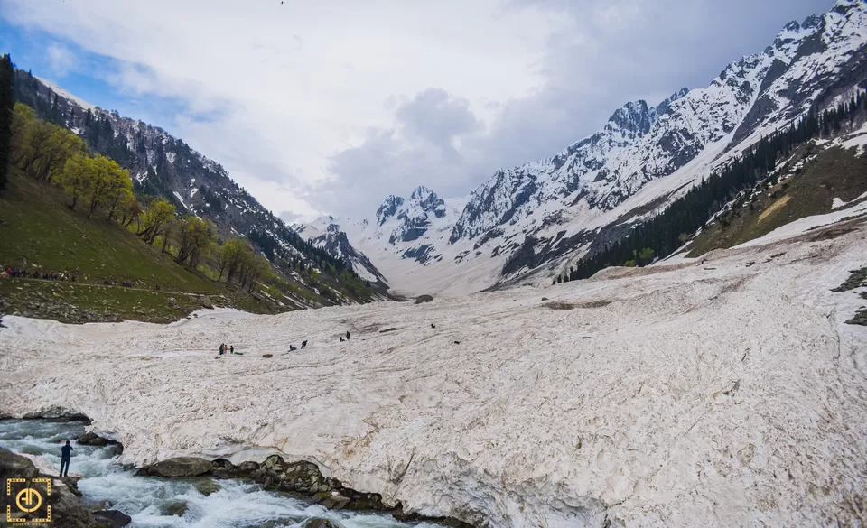 Photo of Thajiwas Glacier, Forest Block by Aditya Desai