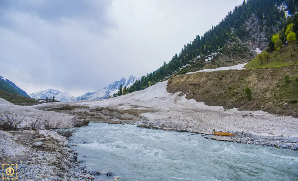 Photo of Thajiwas Glacier, Forest Block by Aditya Desai