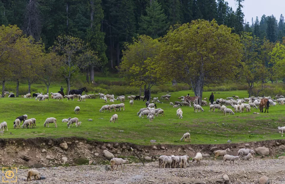 Photo of Yusmarg Development Authority, Bagh-i-Mehtab, Srinagar by Aditya Desai