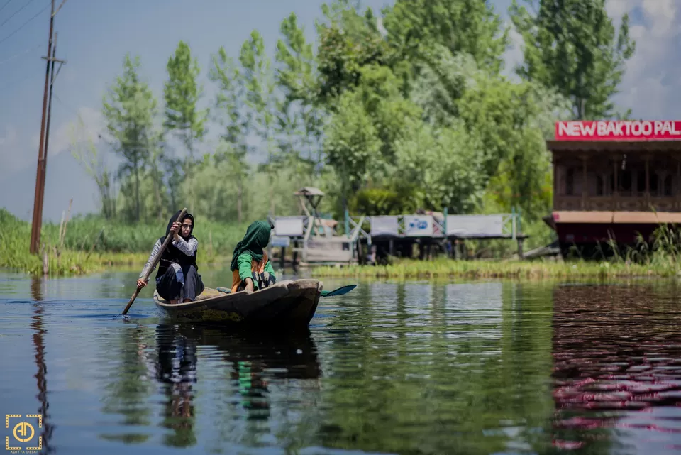 Photo of Dal Lake by Aditya Desai