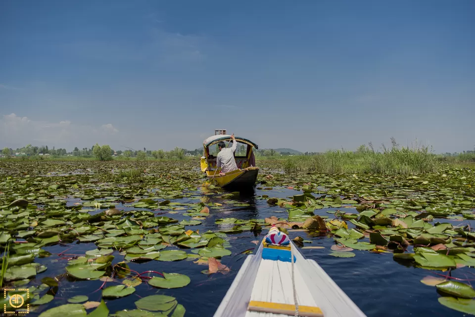 Photo of Dal Lake by Aditya Desai