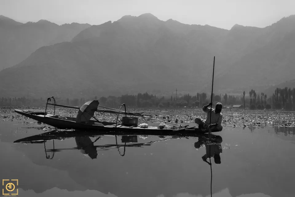 Photo of Dal Lake by Aditya Desai