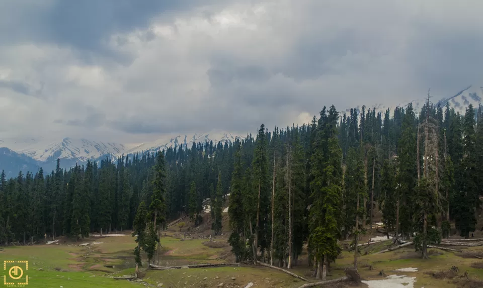 Photo of Gulmarg Gondola, Baramulla by Aditya Desai