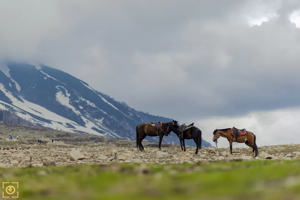 Photo of Gulmarg Tourism, Srinagar by Aditya Desai