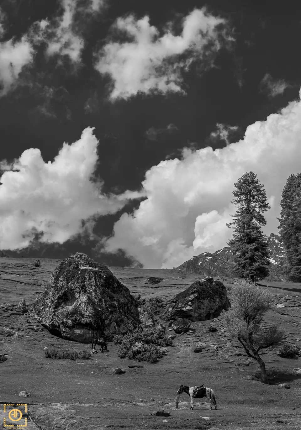 Photo of Pahalgam by Aditya Desai