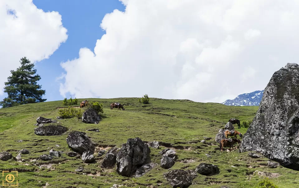 Photo of Pahalgam by Aditya Desai