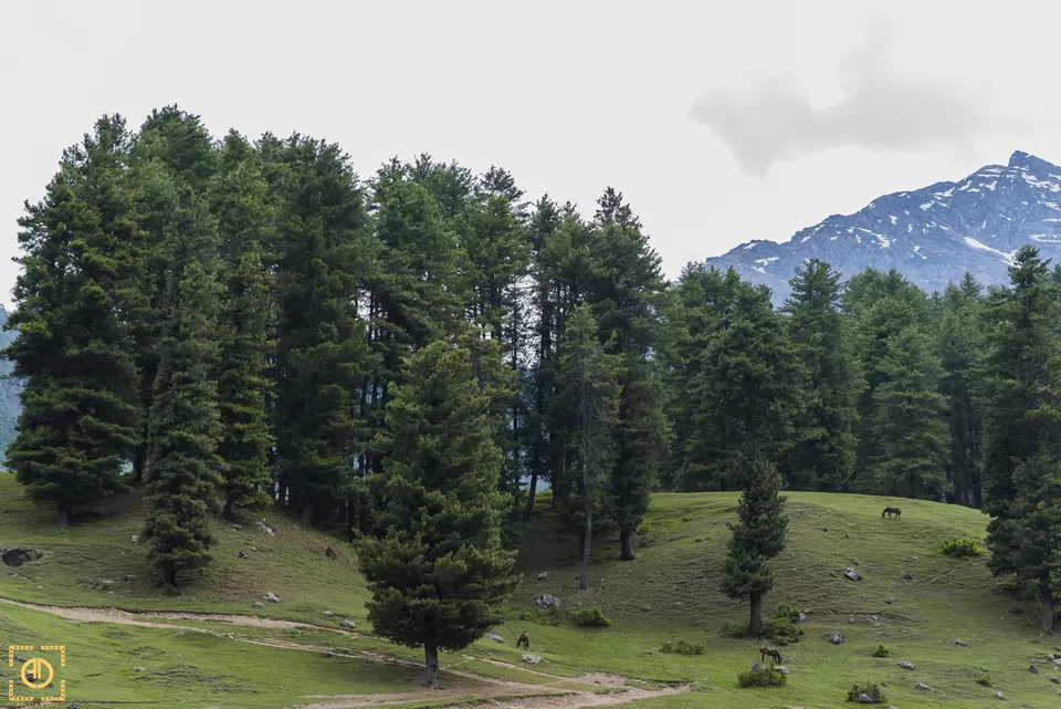 Photo of Aru Velly, Pahalgam by Aditya Desai