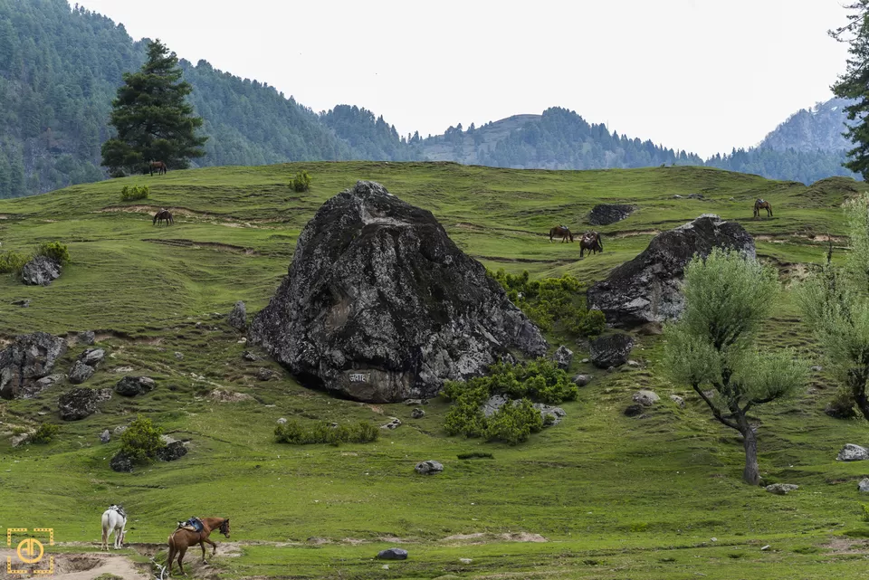 Photo of Aru Velly, Pahalgam by Aditya Desai
