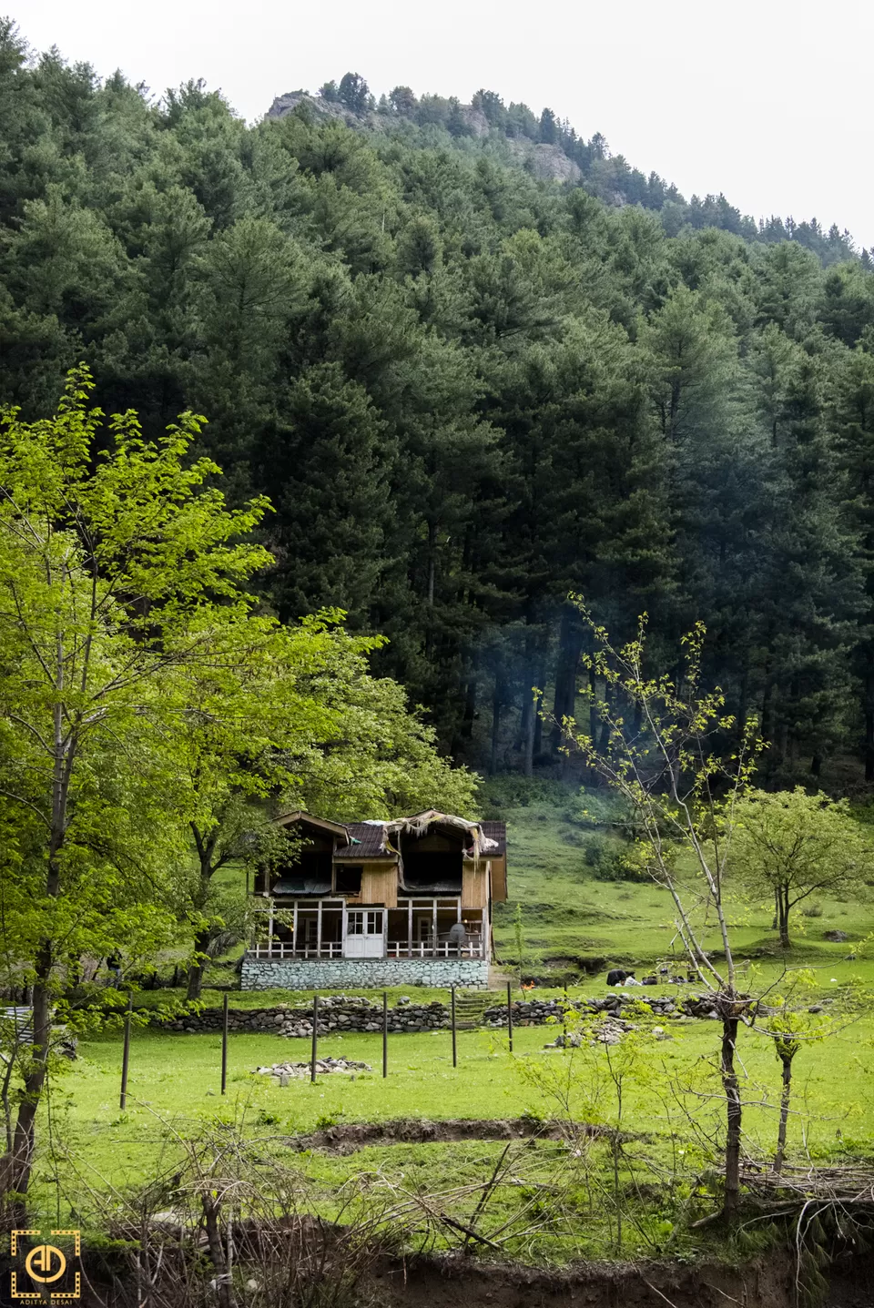Photo of Betaab Valley, Hajan by Aditya Desai