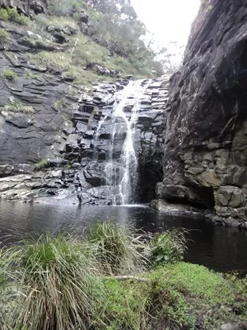 Photo of Great Ocean Road, Wye River, Victoria, Australia by rochels_diaries
