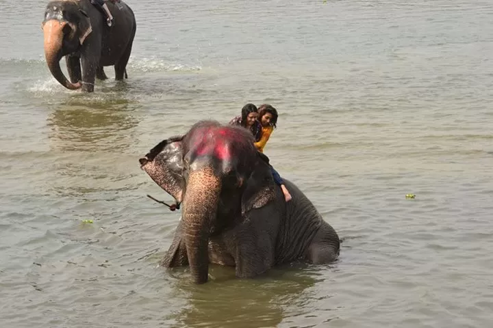 Photo of Chitwan, Central Region, Nepal by rochels_diaries