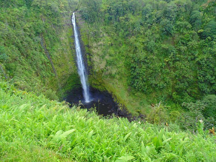 Photo of Hawaiian Trails 6/8 by rochels_diaries