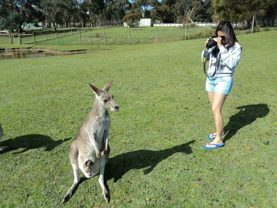 Photo of Melbourne ~ Great Ocean Road & Philip Island 2/7 by rochels_diaries