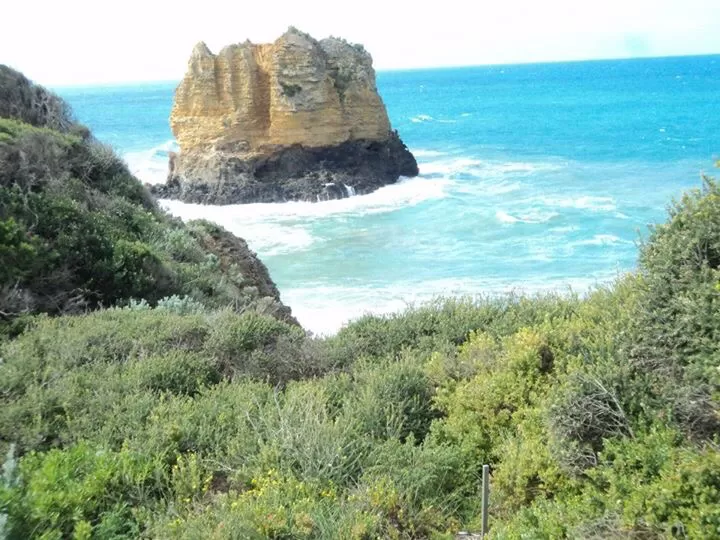 Photo of Great Ocean Road, Wye River, Victoria, Australia by rochels_diaries