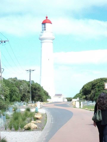 Photo of Melbourne ~ Great Ocean Road & Philip Island 7/7 by rochels_diaries