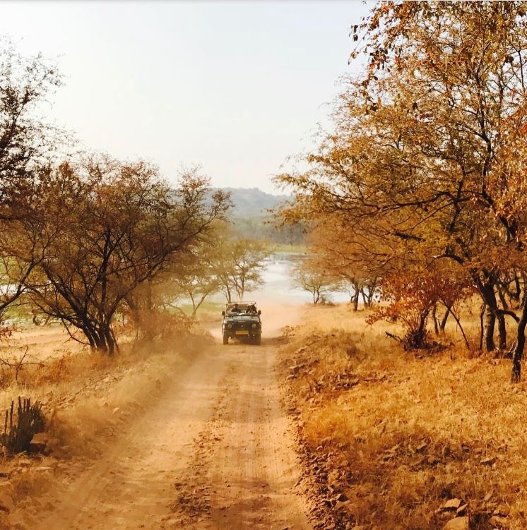 Photo of Weekend Getaway - Mumbai to Ranthambore 1/1 by rochels_diaries
