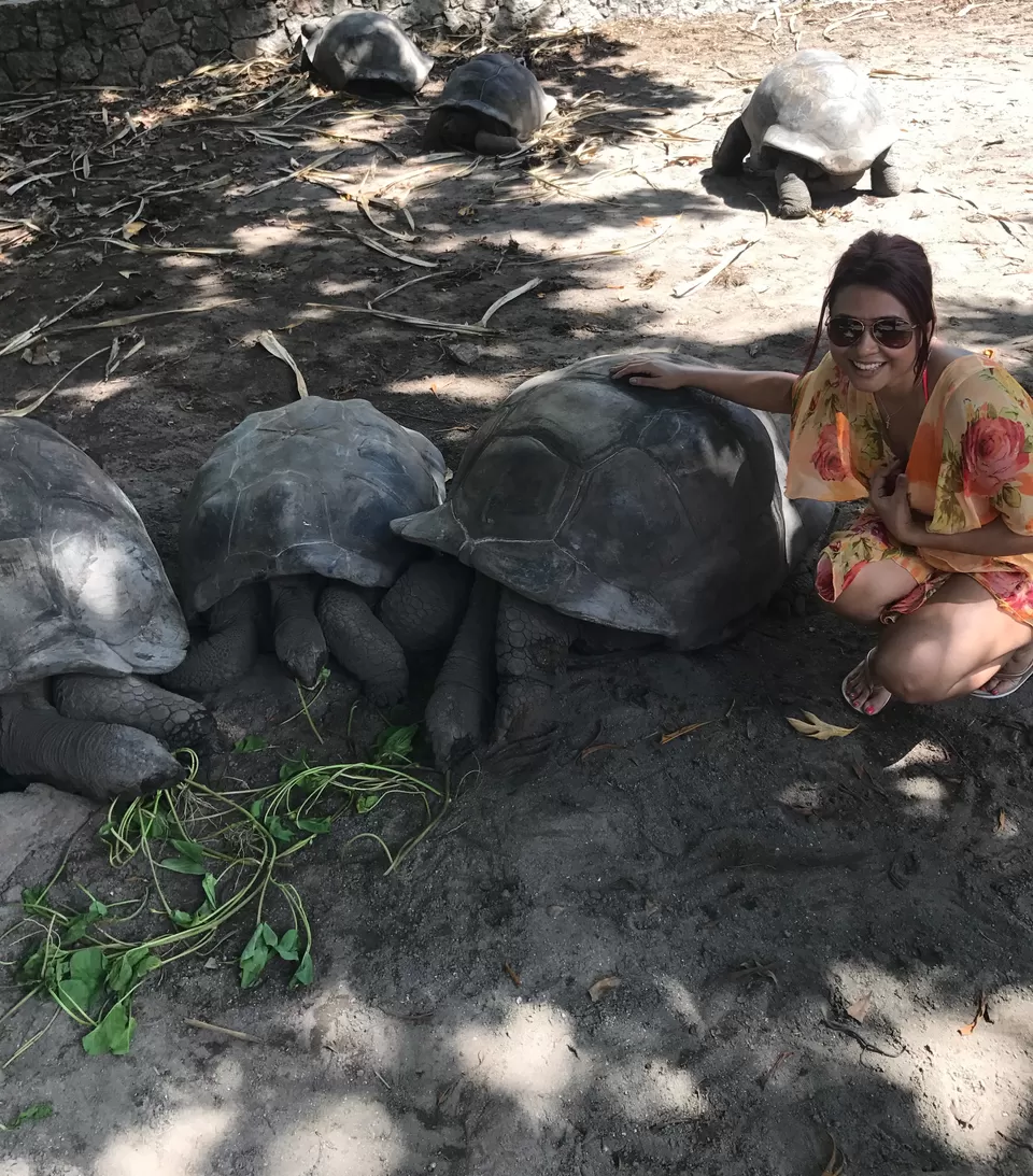 Photo of Anse Source d'Argent, Seychelles by rochels_diaries