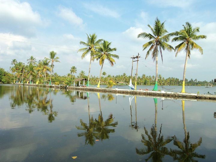 Photo of Things to do in Fort Kochi, Kerala 2/5 by rochels_diaries