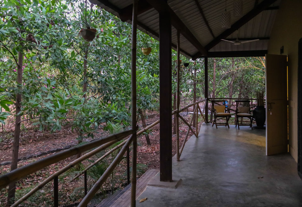 Photo of A Jungle Retreat: Jen Jon Alibaug #junglestay by Kshitij Satam