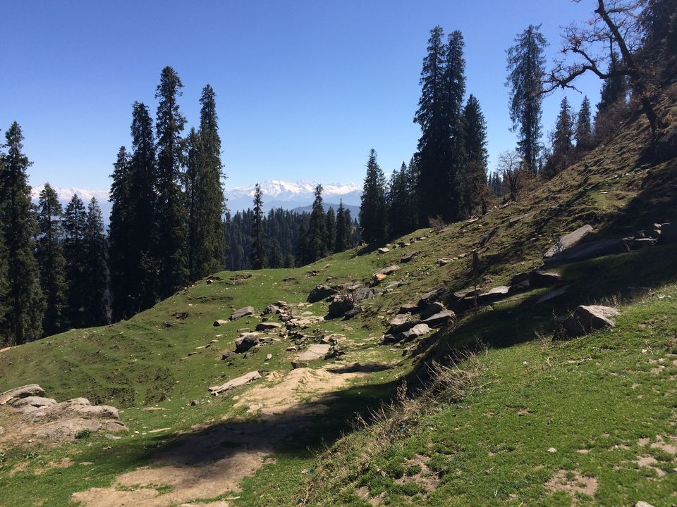 Photo of Hatu Peak, Shimla, Himachal Pradesh, India by Harshal Jain