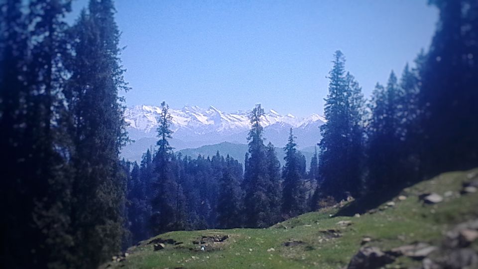Photo of At the top of Hatu... 2/11 by Harshal Jain