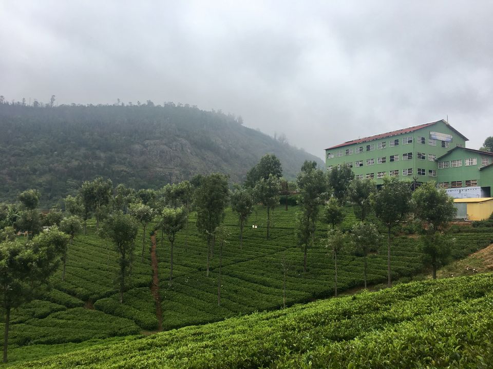 Photo of 5 Touristy things to do in Coonoor by Prathima