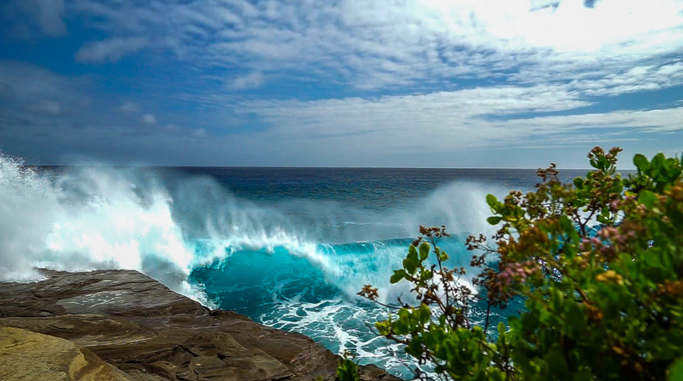 Photo of Big Wave Surfing at China Walls on Oahu, Hawaii 1/1 by Jackson Groves