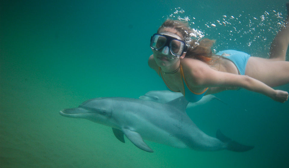 Photo of 10 Places In The World Where You Can Go Swimming With Dolphins 5/11 by Le Voyageur