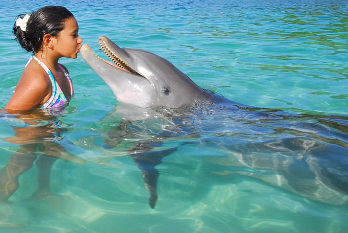 Photo of 10 Places In The World Where You Can Go Swimming With Dolphins 6/11 by Le Voyageur
