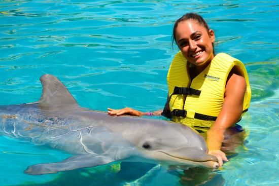 Photo of 10 Places In The World Where You Can Go Swimming With Dolphins 7/11 by Le Voyageur