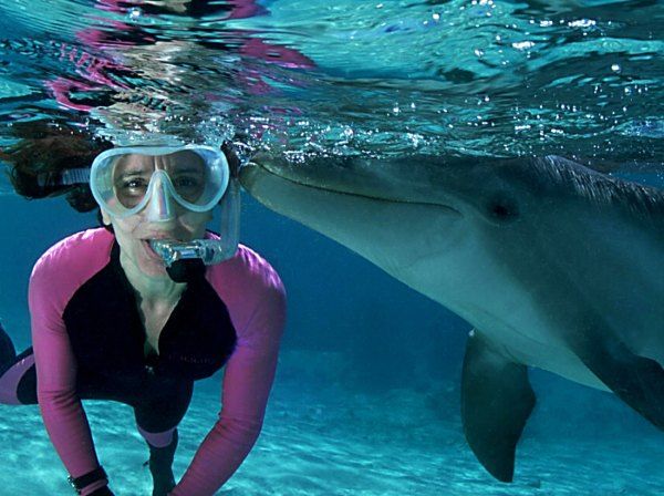 Photo of 10 Places In The World Where You Can Go Swimming With Dolphins 9/11 by Le Voyageur