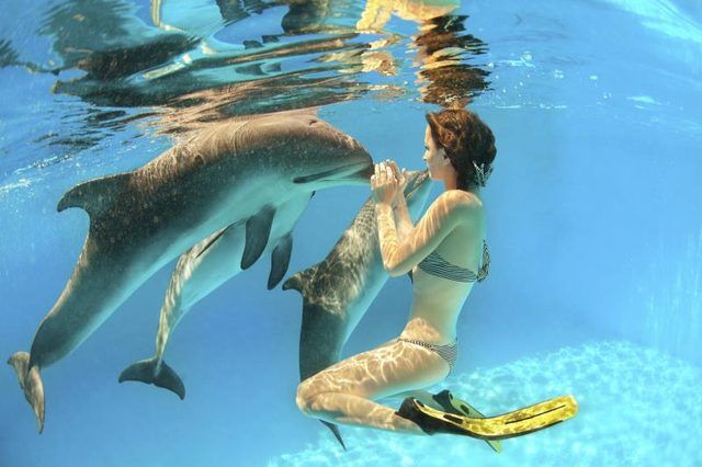 Photo of 10 Places In The World Where You Can Go Swimming With Dolphins 10/11 by Le Voyageur