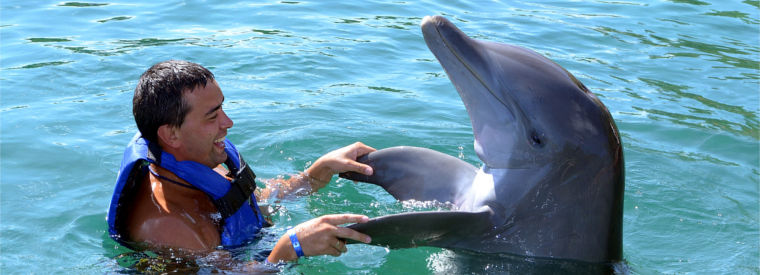 Photo of 10 Places In The World Where You Can Go Swimming With Dolphins 11/11 by Le Voyageur