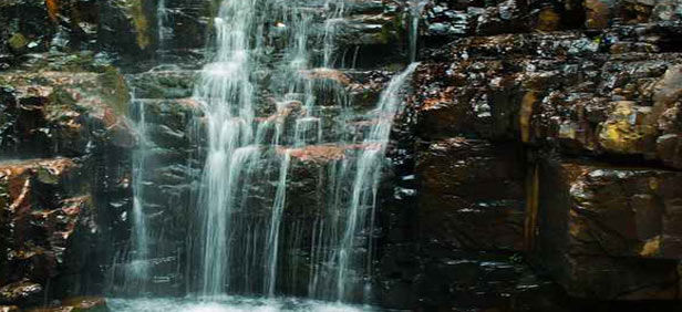 Photo of 12 Jaw-Dropping Waterfalls In India That Belong To A Magical World Of Their Own! 11/13 by Le Voyageur